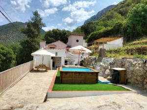 32de7e2a-58a1-4c8f-931b-b0d02eda8e54