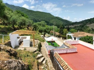 8831b99d-7bbd-4bf5-8113-274201572c38