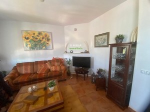 PHOTO-2025-05-19-12-20-10