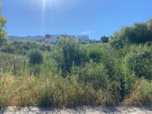 PHOTO-2025-05-22-11-33-56