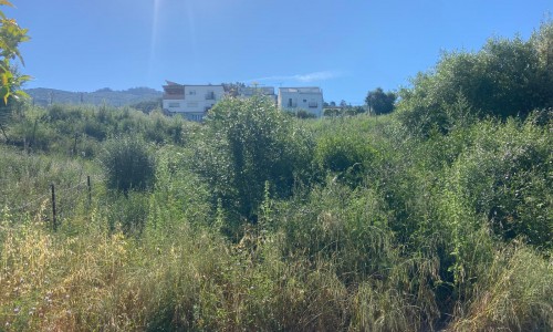 PHOTO-2025-05-22-11-33-56