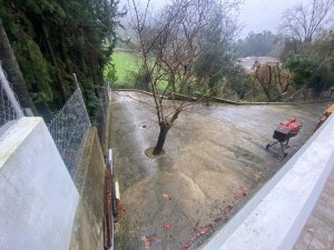 f3cd4d33-4b21-4022-8c2f-5b57d79ac074