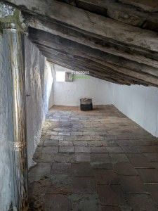 PHOTO-2025-06-04-20-57-09 (1)