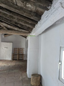 PHOTO-2025-06-04-20-57-09 (3)