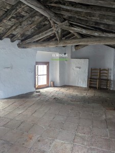 PHOTO-2025-06-04-20-57-09 (4)