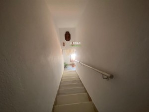 PHOTO-2025-06-05-17-16-15 (3)