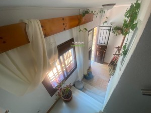 PHOTO-2025-06-05-17-16-15 (8)