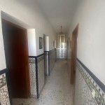 PHOTO-2025-06-06-13-23-15 (1)