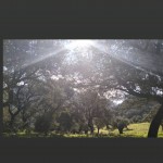 PHOTO-2025-06-07-12-40-31 (1)