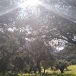 PHOTO-2025-06-07-12-40-31