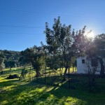 PHOTO-2025-06-07-12-40-31 (4)