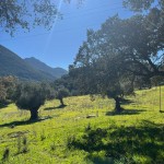 PHOTO-2025-06-07-12-40-31 (6)