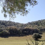 PHOTO-2025-06-07-12-40-31 (7)