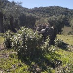 PHOTO-2025-06-07-12-40-32 (2)