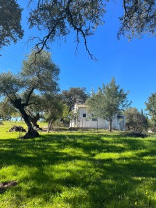 PHOTO-2025-06-07-12-40-32