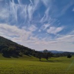 PHOTO-2025-06-07-12-40-32 (3)