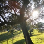 PHOTO-2025-06-07-12-40-32 (4)