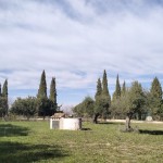 PHOTO-2025-06-07-12-40-32 (5)