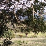 PHOTO-2025-06-07-12-40-32 (6)