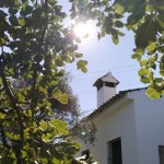 PHOTO-2025-06-07-12-40-33