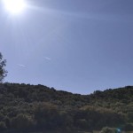 PHOTO-2025-06-07-12-41-06