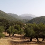 PHOTO-2025-06-07-12-41-07 (2)