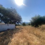 PHOTO-2025-06-09-10-48-34 (8)