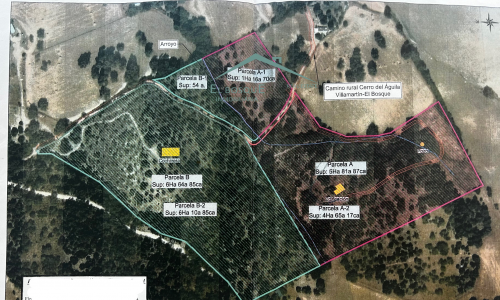 42A474A5-77E7-4870-A50A-CCA67D55F5A6