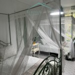 PHOTO-2025-07-07-09-20-53 (7)