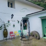 PHOTO-2025-07-07-09-20-54 (5)