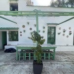 PHOTO-2025-07-07-09-20-54 (8)