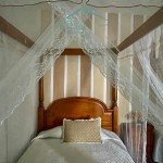 PHOTO-2025-07-07-09-20-55 (2)