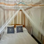 PHOTO-2025-07-07-09-20-55 (3)