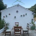 PHOTO-2025-07-07-09-22-05 (2)