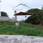 PHOTO-2025-07-17-18-07-59