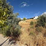 PHOTO-2025-08-29-09-23-00 (1)