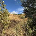 PHOTO-2025-08-29-09-23-00