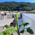 4f568784-ce55-4175-b25b-441ed43c9835