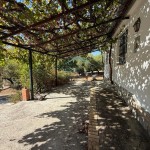 PHOTO-2025-09-26-12-23-36 (4)