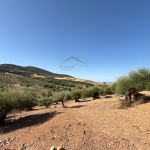 PHOTO-2025-09-26-12-23-38 (10)