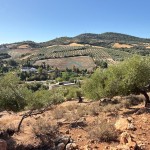 PHOTO-2025-09-26-12-23-38 (11)