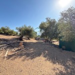 PHOTO-2025-09-26-12-23-38 (2)