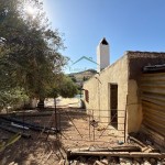 PHOTO-2025-09-26-12-23-38 (4)