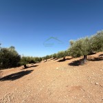 PHOTO-2025-09-26-12-23-38 (6)