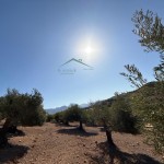 PHOTO-2025-09-26-12-23-38 (8)