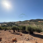 PHOTO-2025-09-26-12-23-38 (9)