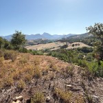 PHOTO-2025-09-26-12-23-39 (1)