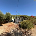 PHOTO-2025-09-26-12-23-39 (11)