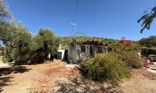 PHOTO-2025-09-26-12-23-39 (11)