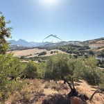 PHOTO-2025-09-26-12-23-39